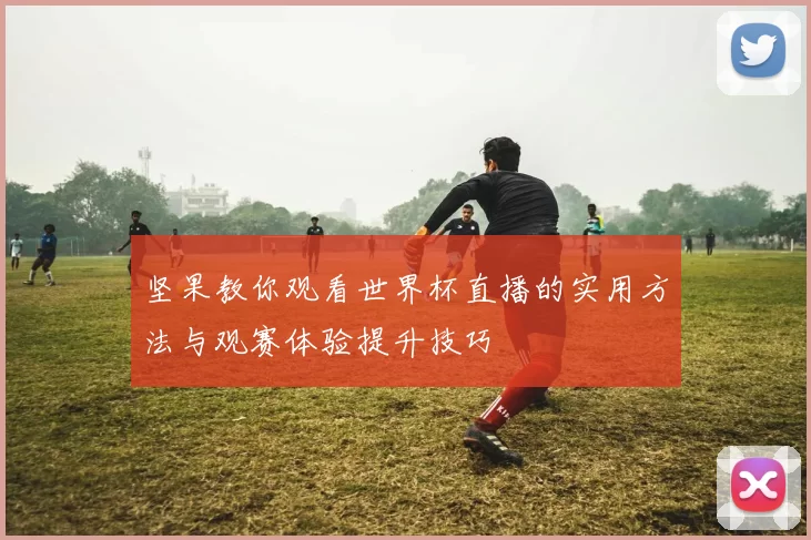 坚果教你观看世界杯直播的实用方法与观赛体验提升技巧