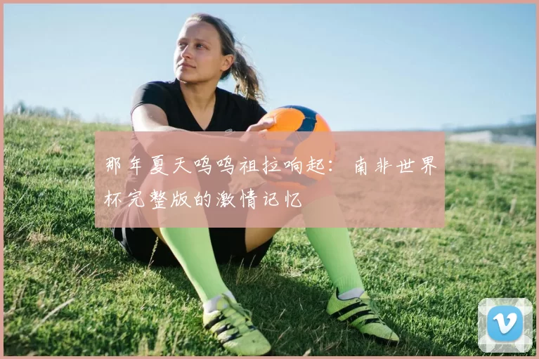 那年夏天呜呜祖拉响起：南非世界杯完整版的激情记忆