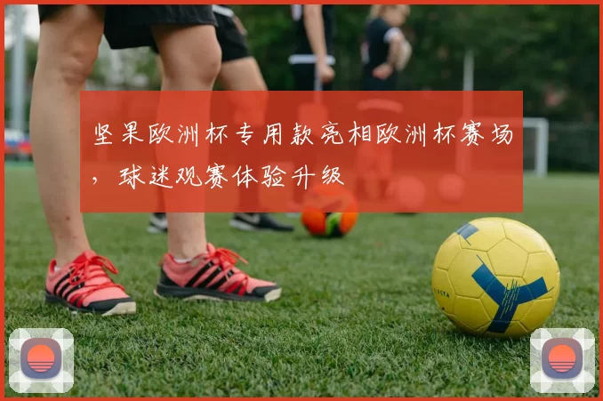 坚果欧洲杯专用款亮相欧洲杯赛场,球迷观赛体验升级