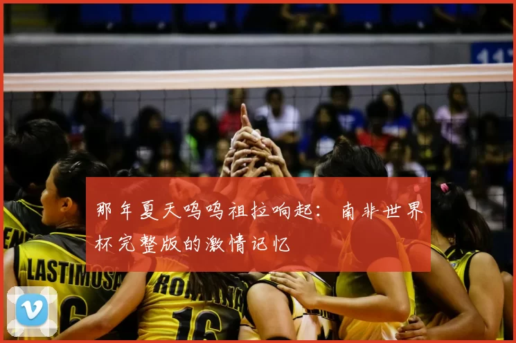 那年夏天呜呜祖拉响起:南非世界杯完整版的激情记忆
