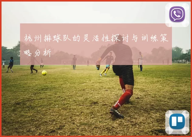 杭州排球队的灵活性探讨与训练策略分析