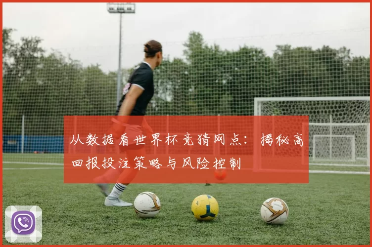 从数据看世界杯竞猜网点：揭秘高回报投注策略与风险控制
