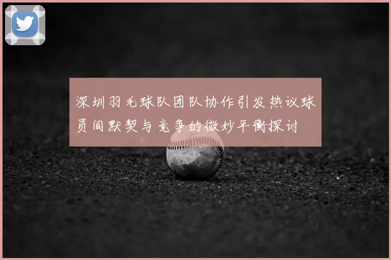 深圳羽毛球队团队协作引发热议球员间默契与竞争的微妙平衡探讨